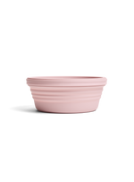 Stojo Collapsible Bowl (Carnation)