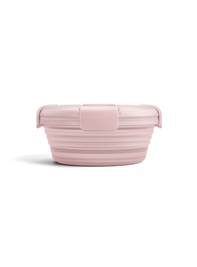 Stojo Collapsible Bowl (Translucent Carnation)